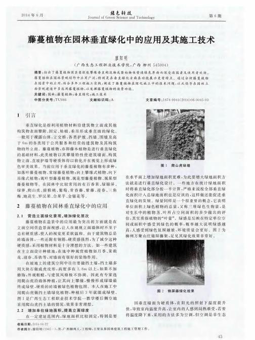 藤蔓植物在园林垂直绿化中的应用及其施工技术