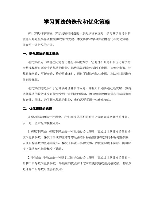 学习算法的迭代和优化策略