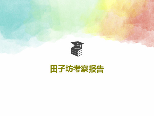田子坊考察报告19页PPT