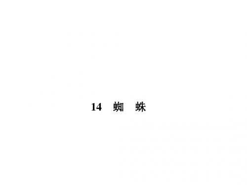 七年级下册语文(语文版)课件：14 蜘 蛛