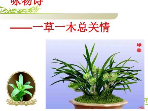 高考复习咏物诗——一草一木总关情ppt