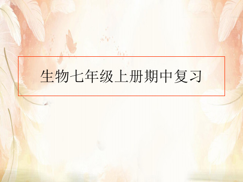 生物七年级上册期中复习PPT课件 冀教版