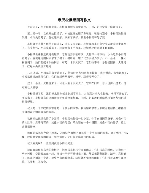 秋天松鼠看图写作文