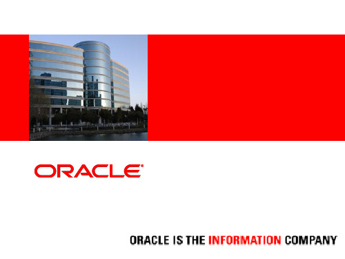 甲骨文 (Oracle)公司概述