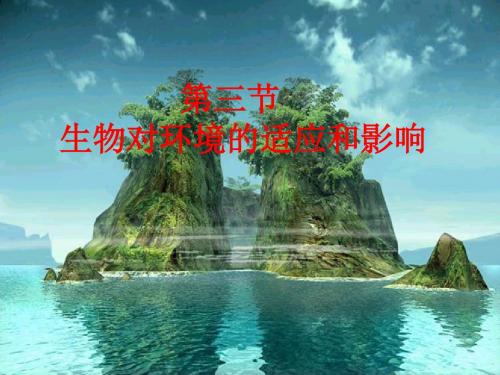 生物对环境的适应与影响 课件 1共18页PPT资料