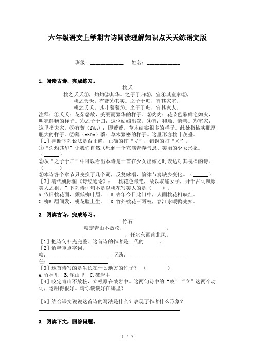 六年级语文上学期古诗阅读理解知识点天天练语文版