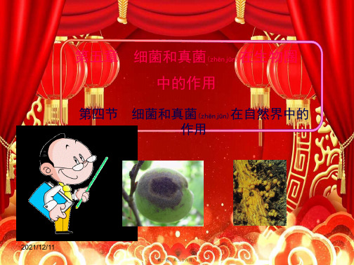 生物上册 5.4.4细菌和真菌在生物圈中的作用课件上册生物课件