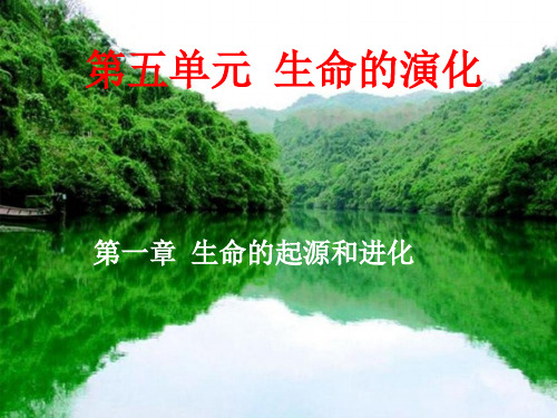 初中生物  生物进化的历程28 济南版精品课件