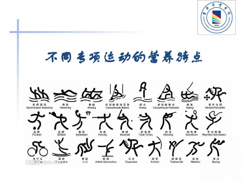 不同专项运动的营养特点