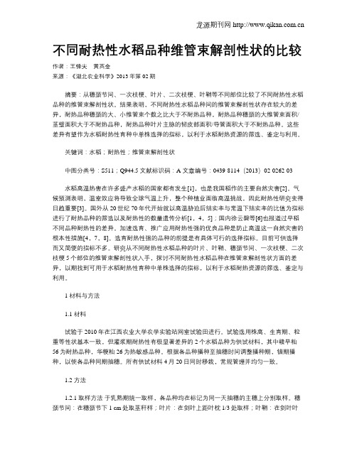 不同耐热性水稻品种维管束解剖性状的比较