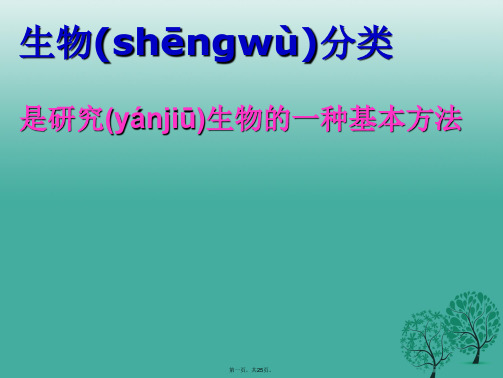 八年级生物上册第六单元第一章第一节尝试对生物进行分类教学课件(新版)新人教版