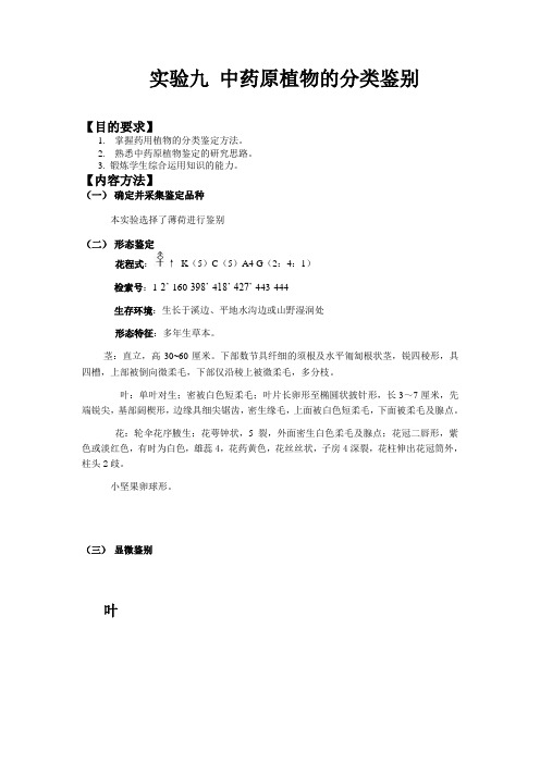 中药原植物的分类鉴别