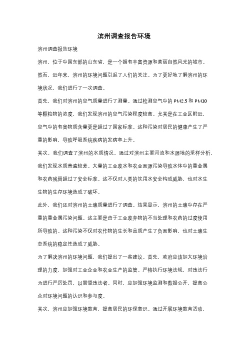 滨州调查报告环境