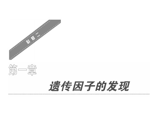 遗传因子的发现 PPT课件