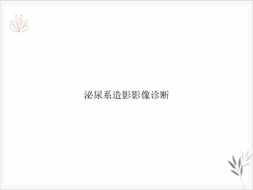 泌尿系造影影像诊断PPT课件