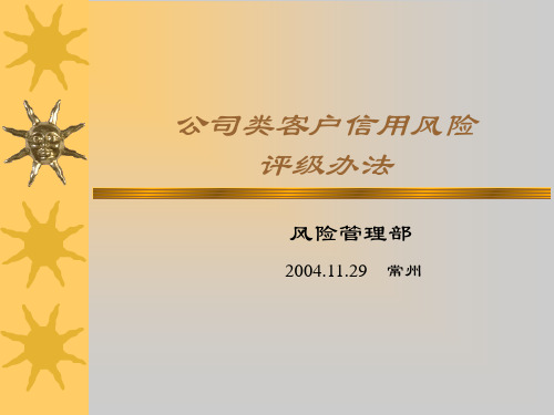 公司类客户信用风险评级办法.ppt
