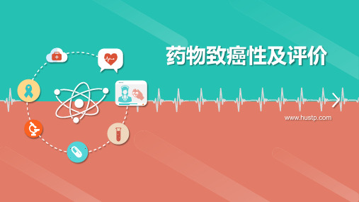 药物致癌性及评价