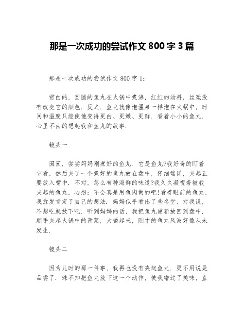 那是一次成功的尝试作文800字3篇