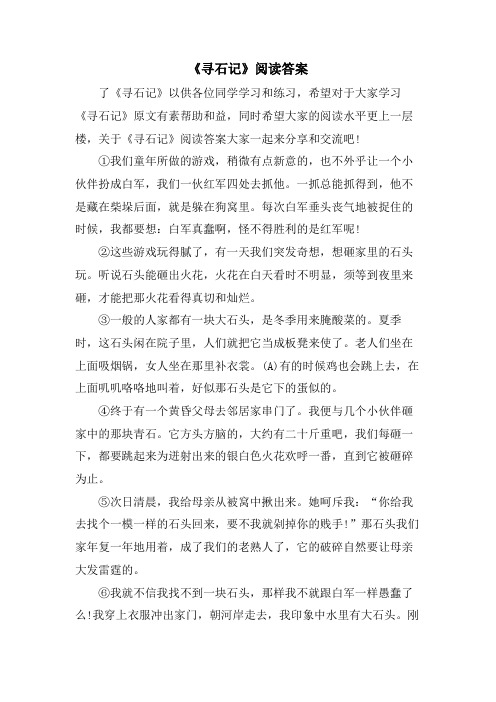 《寻石记》阅读答案