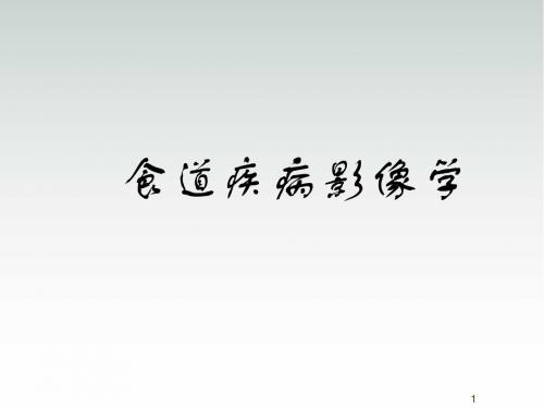 食道病变PPT幻灯片
