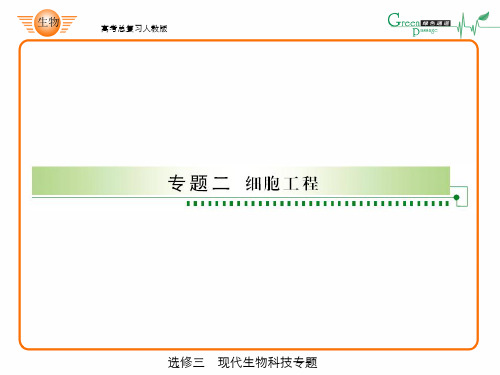 高中生物ppt-65-选修3-2