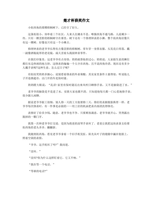楚才杯获奖作文