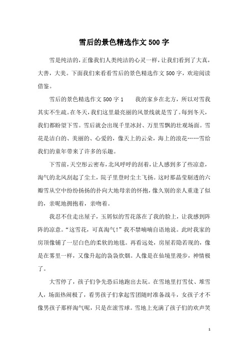 雪后的景色精选作文500字