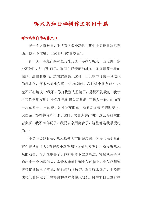 啄木鸟和白桦树作文实用十篇