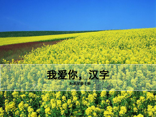 (赛课课件)人教版五年级上册语文《我爱你,汉字   人教新课标(共36张PPT)