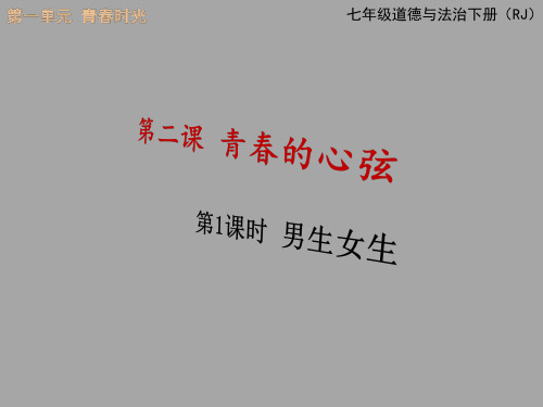 男生女生课件PPT