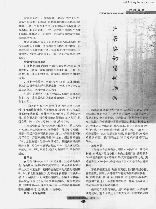 产蛋鸡的强制换羽