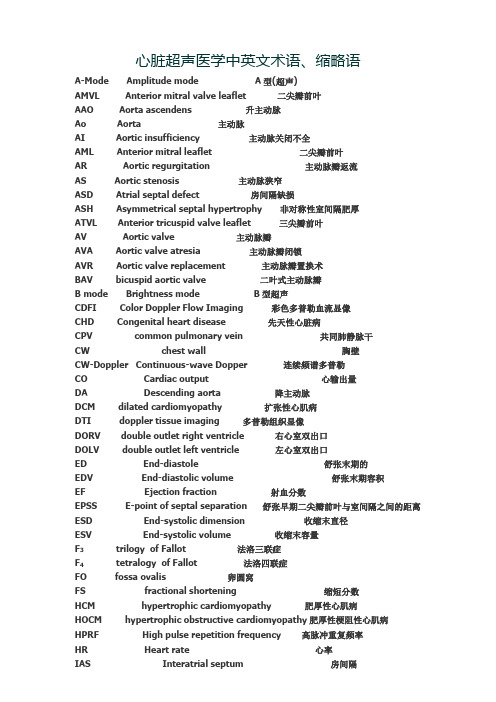 心脏超声术语题库