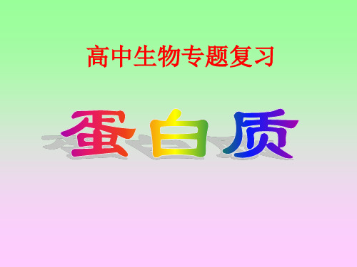 蛋白质专题复习