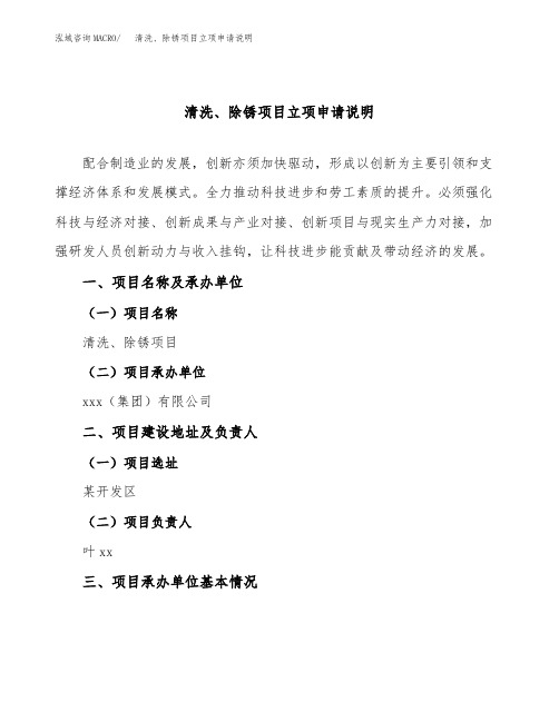 清洗、除锈项目立项申请说明word可编辑