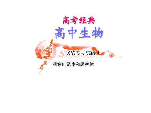 高考生物实验专项突破复习4 观察叶绿体和线粒体