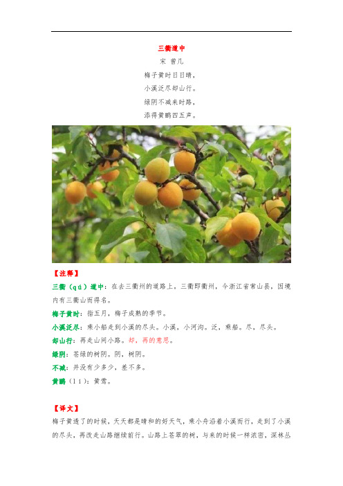统编版人教版六年级语文上册课外拓展：快乐读诗词：《三衢道中》(附练习及答案)  