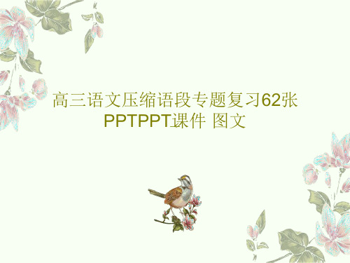 高三语文压缩语段专题复习62张PPTPPT课件 图文共65页文档