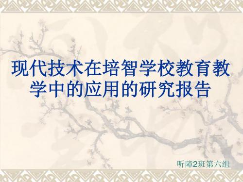 重要：现代技术在培智学