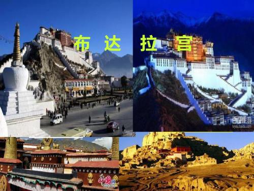 湘教版 八年级(下)地理 第三章 第四、五节 西藏 、云南