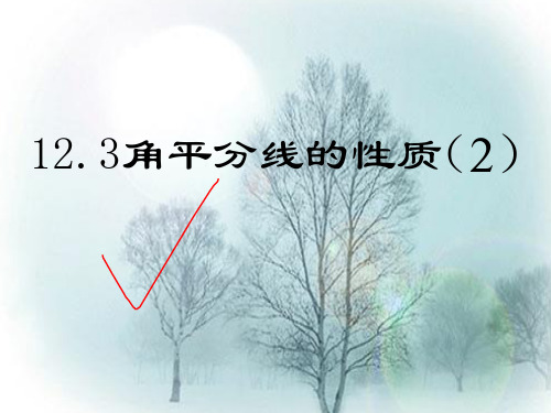 八年级数学上册角平分线课件新人教版