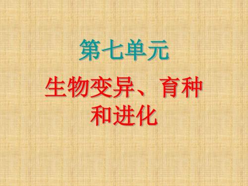 山东省济宁市学而优教育咨询有限公司高考生物一轮复习 第7单元 第24课时 从杂交育种到基因工程名师优质课件