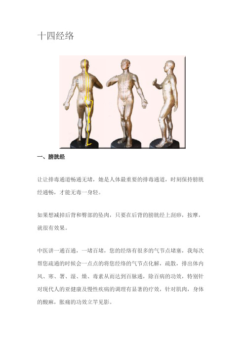 十四经络2