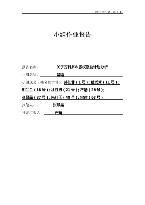 小组作业报告模板