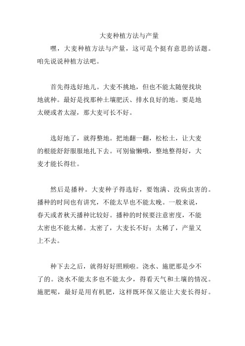 大麦种植方法与产量