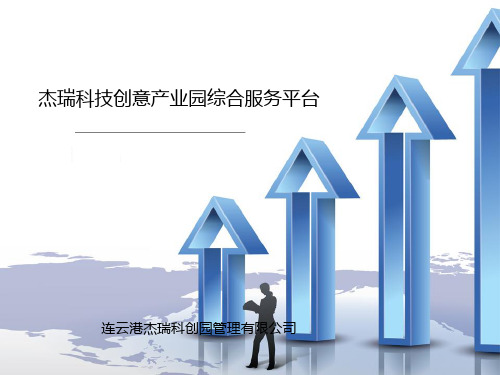 公共服务平台资金申请报告(杰瑞11.28改)