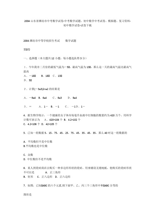 2004山东省潍坊市中考数学试卷-中考数学试题、初中数学中考试卷、模拟题-初中数学试卷