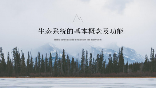 生态系统的基本概念及功能