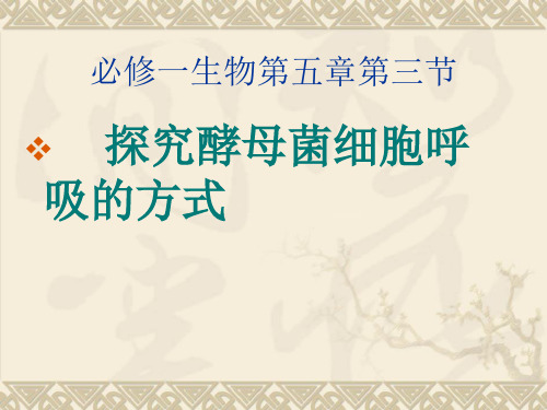 必修一生物探究酵母菌细胞呼吸的方式