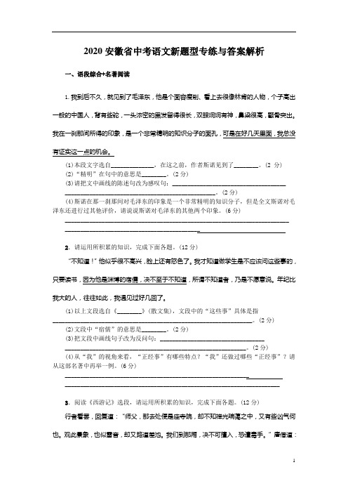 2020安徽省中考语文新题型专练与答案解析