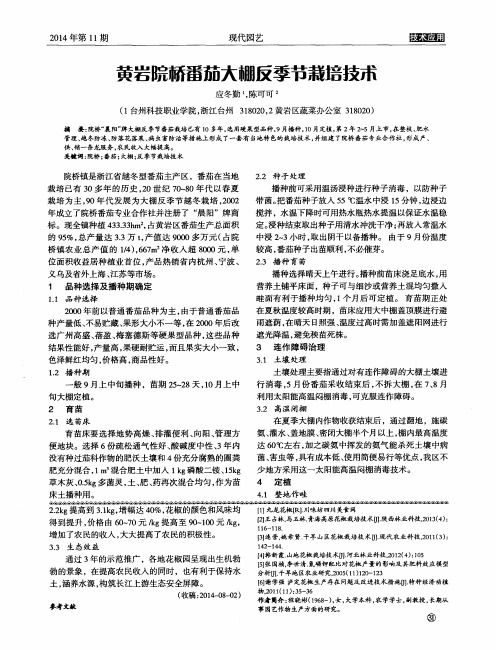 黄岩院桥番茄大棚反季节栽培技术